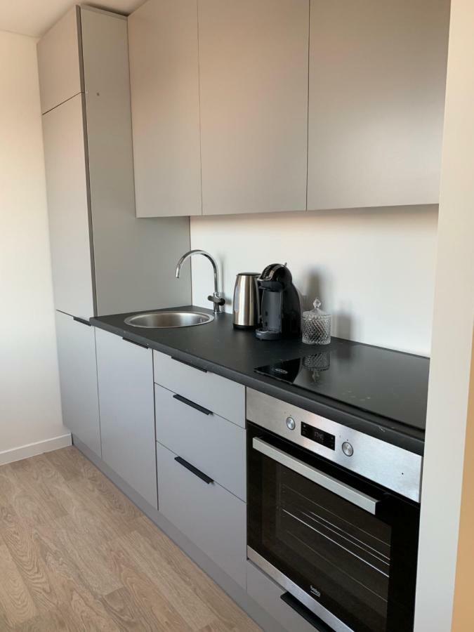 Good Night Apartaments Panevėžys Eksteriør bilde